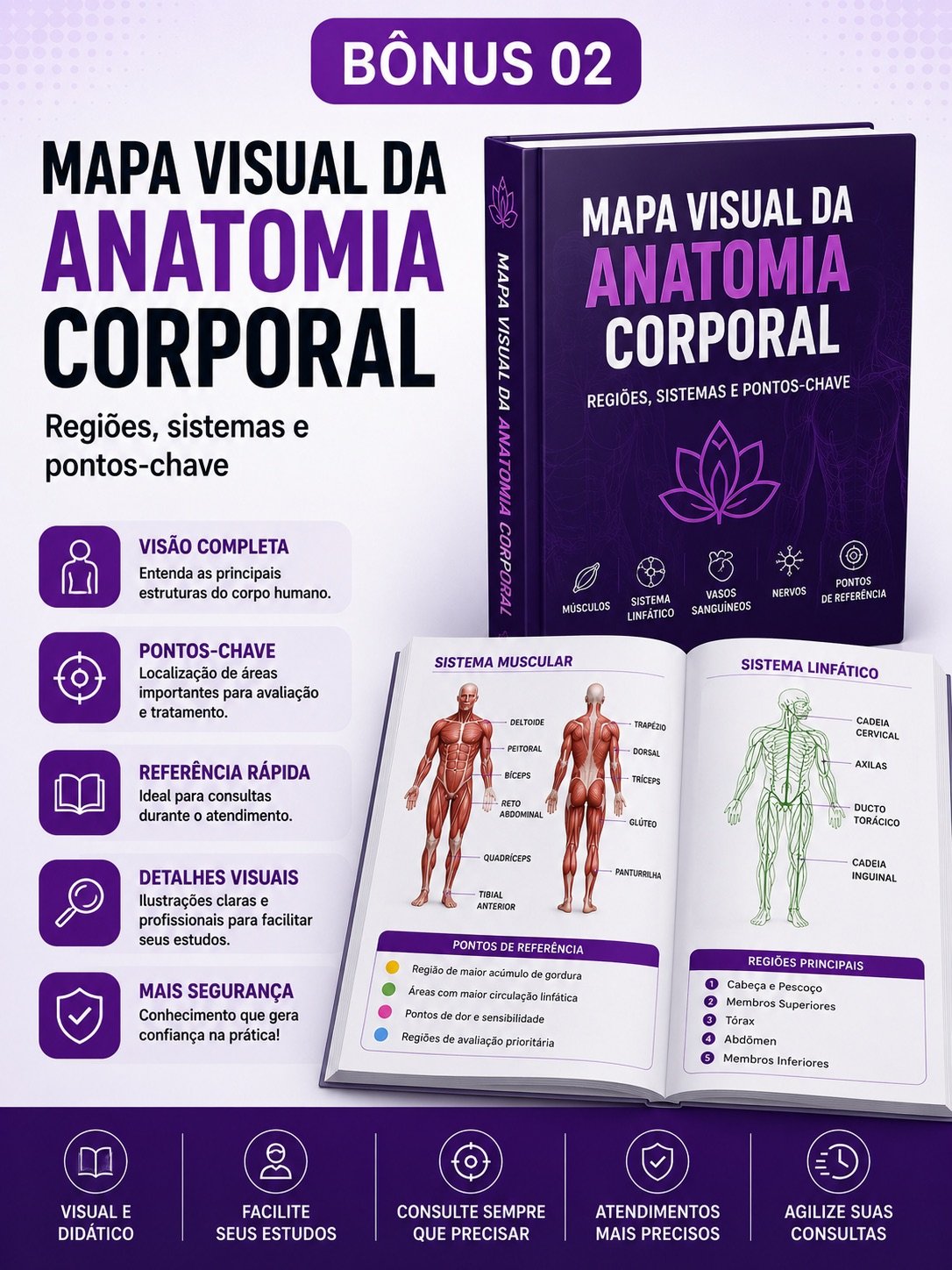 Bônus 02: Mapa Visual da Anatomia Corporal